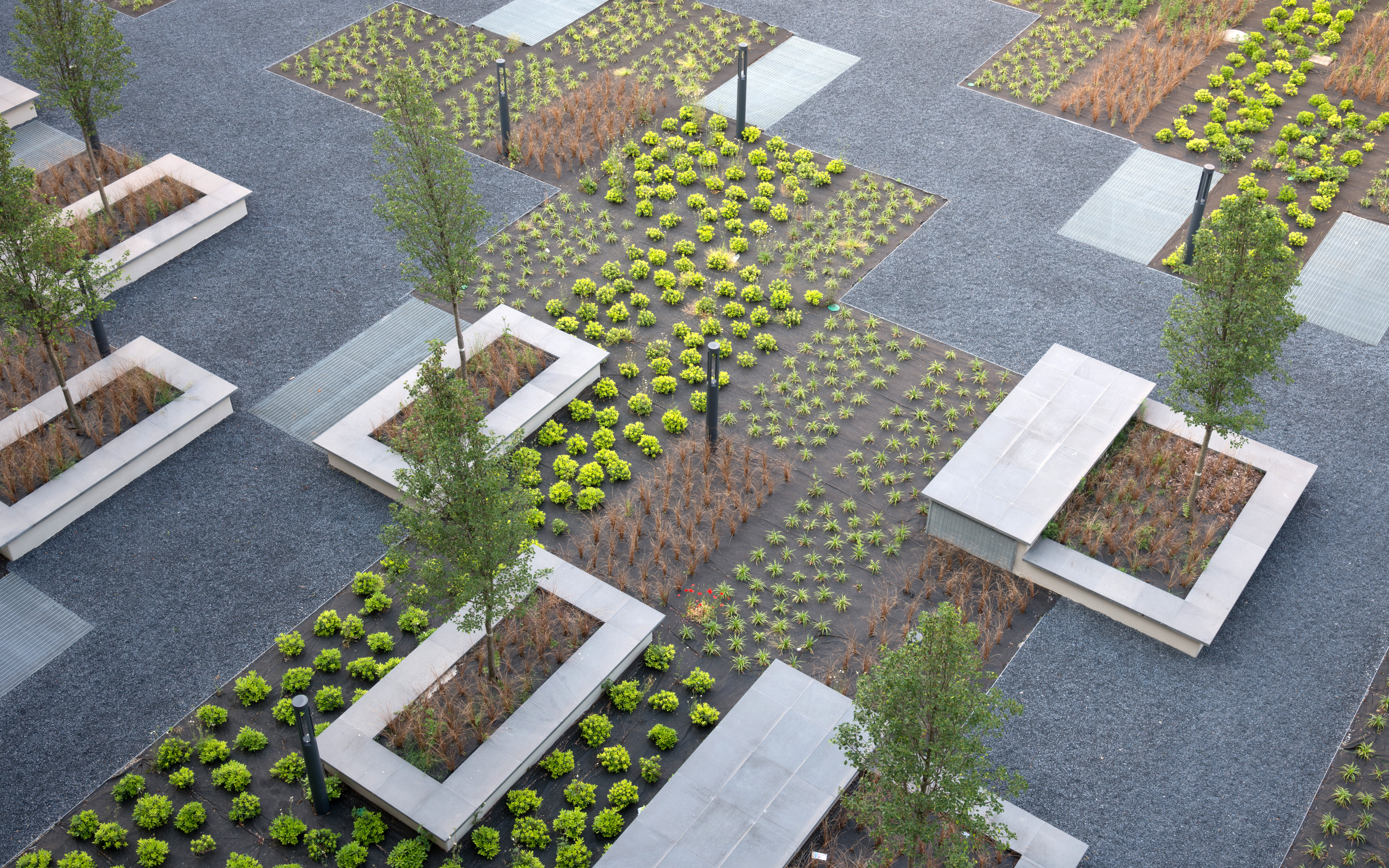 The differently planted areas result in a great pattern. Plant beds with Sedum and small trees between walkways